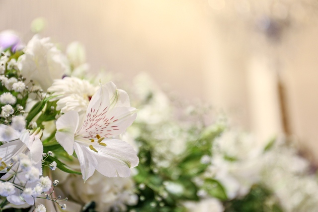 仏花の白いユリ