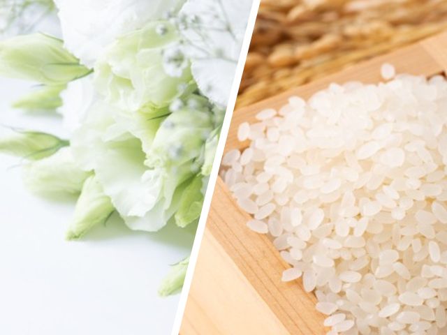 神式のお供え物にふさわしい白い花とお米